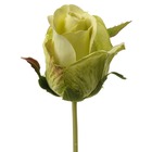 Rose eden factice h25cm crème vert superbe tête tissu d5cm environ - couleur: cr