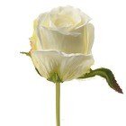 Rose eden factice h25cm crème superbe tête tissu d5cm environ - couleur: crème