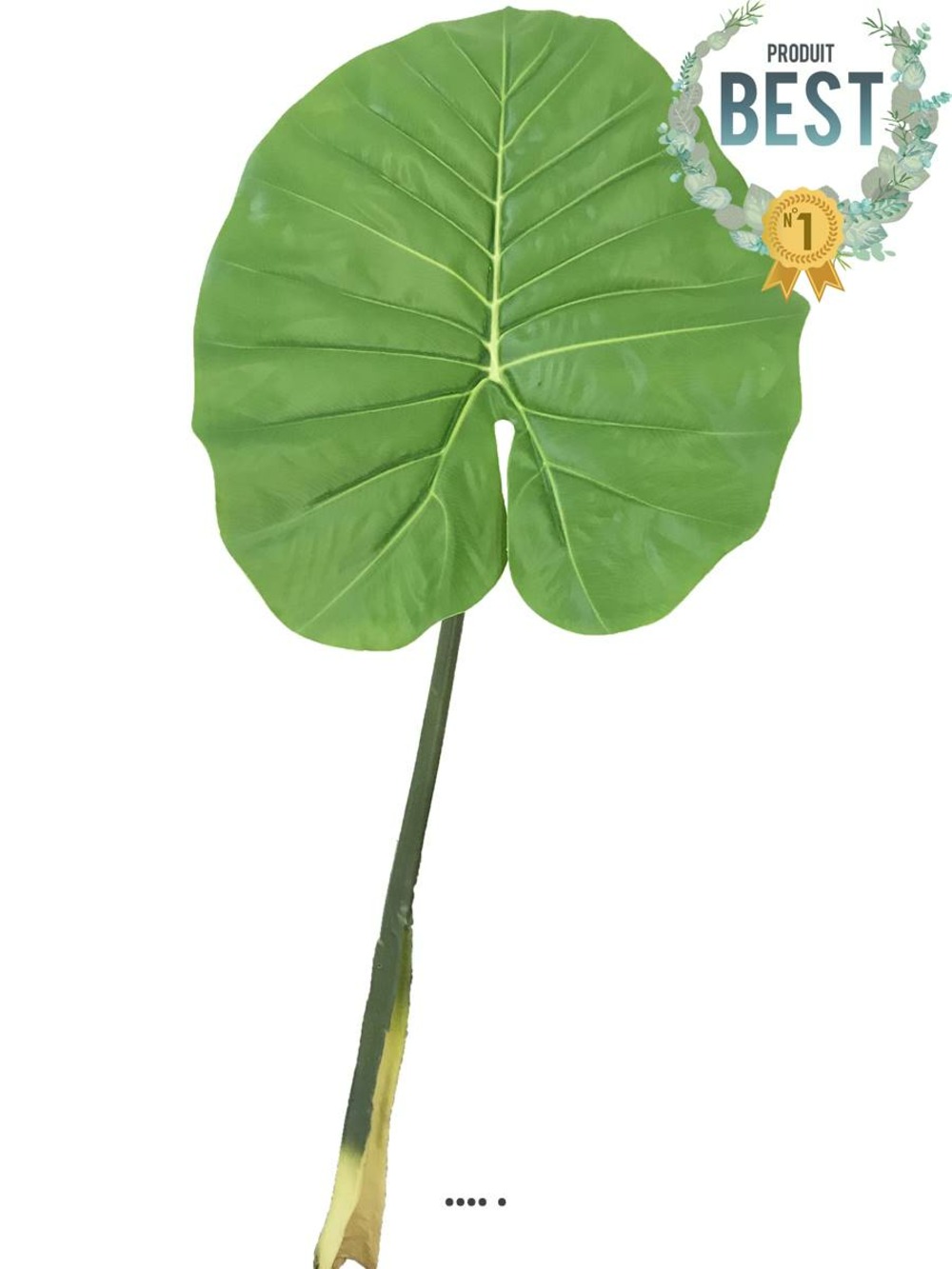 FEUILLE DE COLOCASIA GEAN 1-(939612)