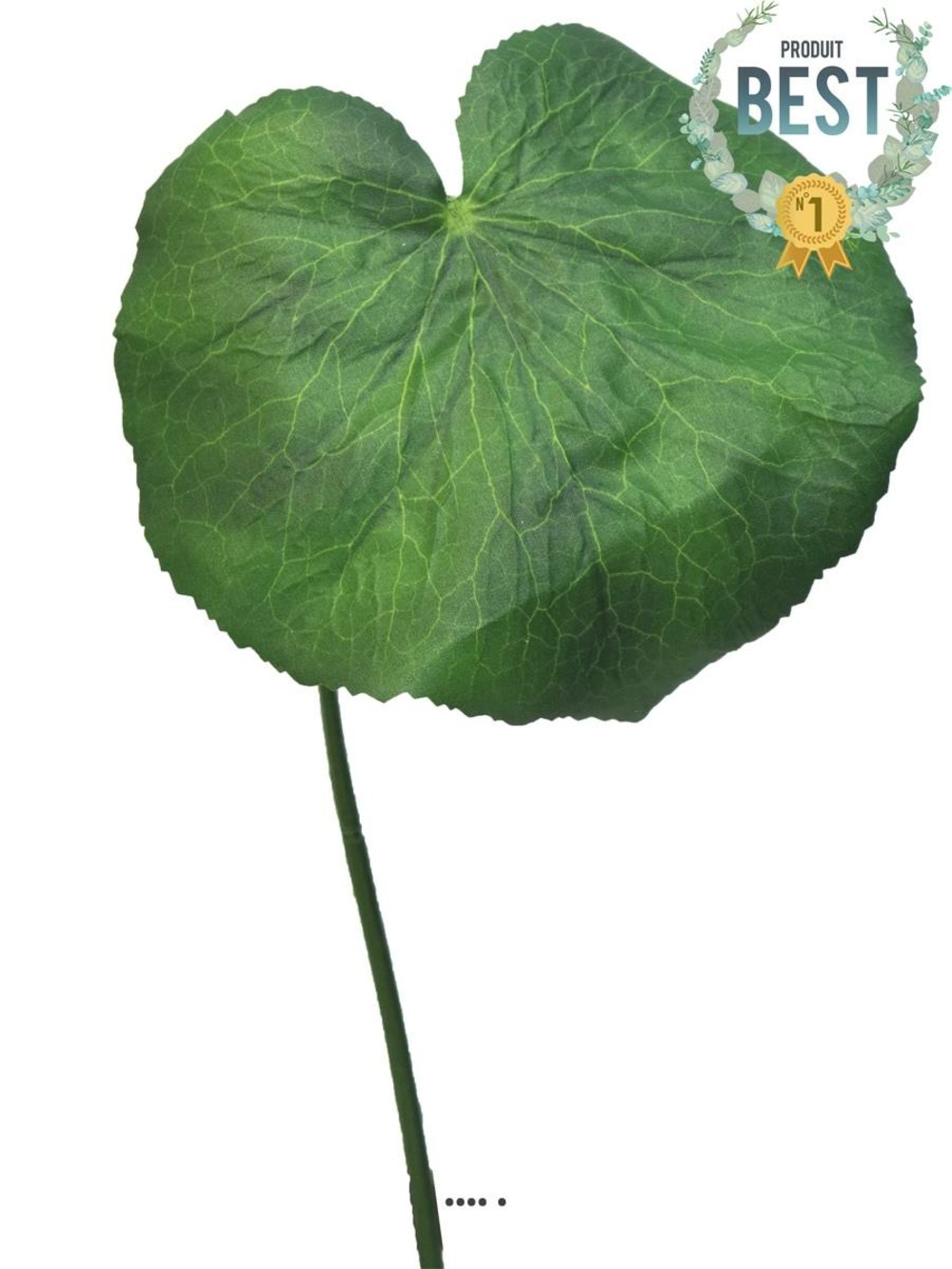 FEUILLES DE GALAX ARTIFIC 1-(939615)