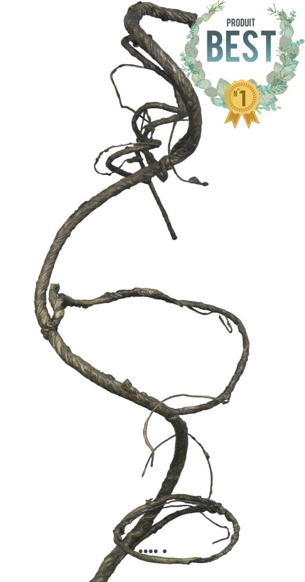 BRANCHE DE BOIS ENROULEE 1-(939633)