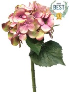 Hortensia artificiel en branche, h 48 cm vert-rose - best - couleur: vert-rose