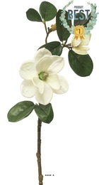 Magnolia du japon artificiel en tige, h 51 cm crème - best - couleur: crème