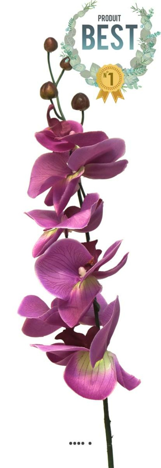 TIGE DORCHIDEE PHALAENOP 2-(939745)