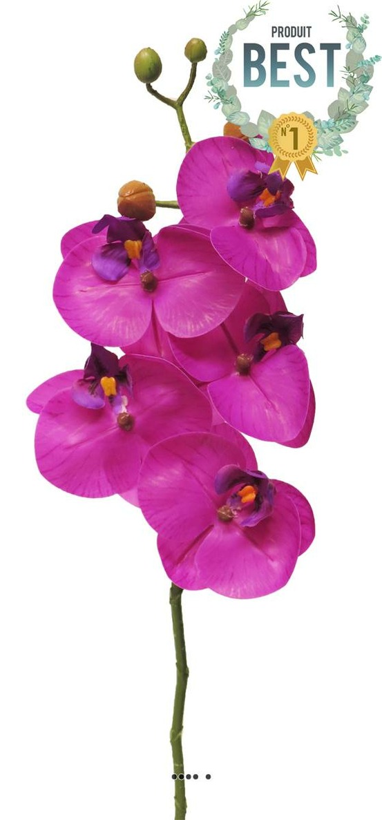 TIGE DORCHIDEE PHALAENOP 6-(939749)