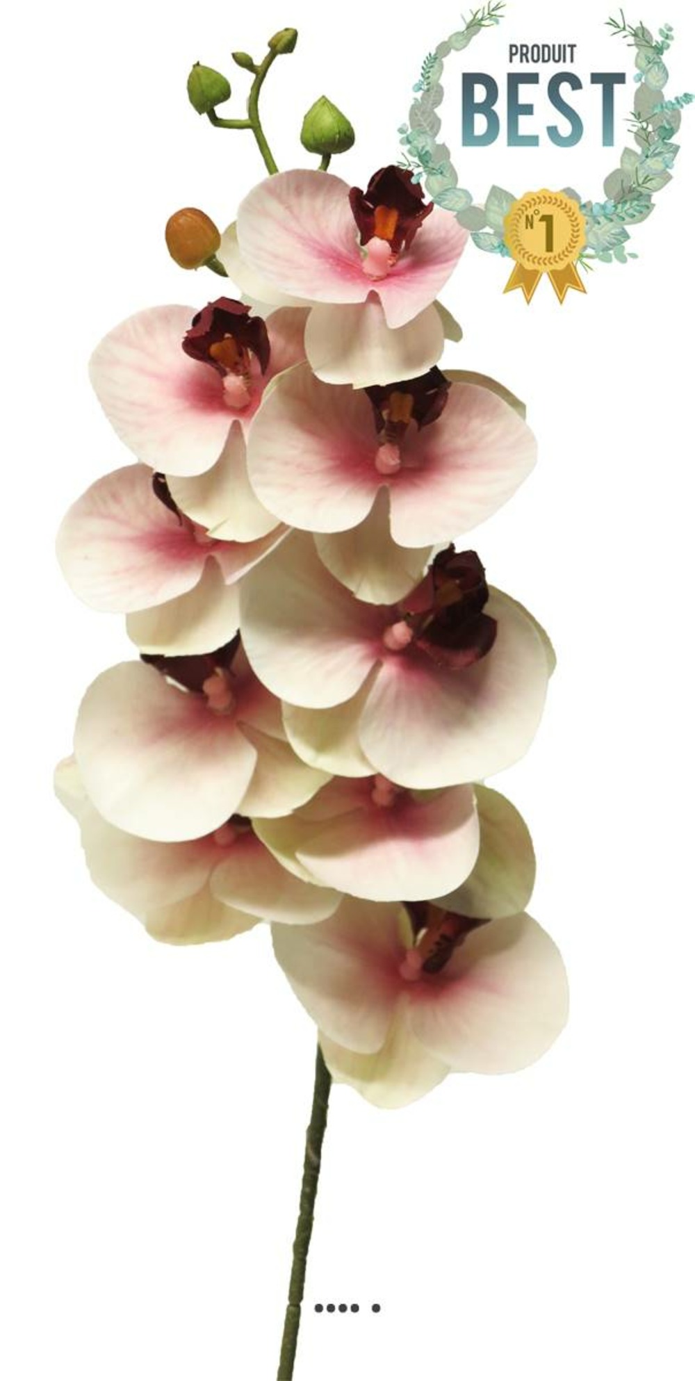 Tige orchidée phalaenopsis factice 9 fleurons h77cm pourpre-blanc-best - couleur