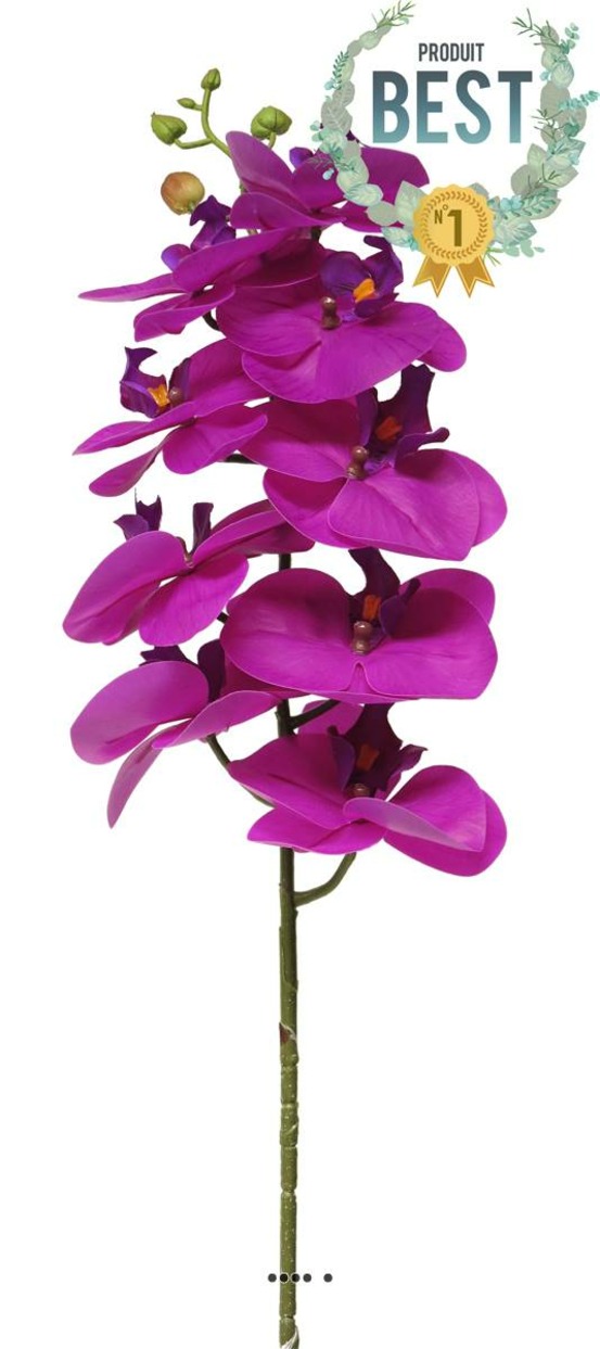 TIGE DORCHIDEE PHALAENOP 9-(939752)