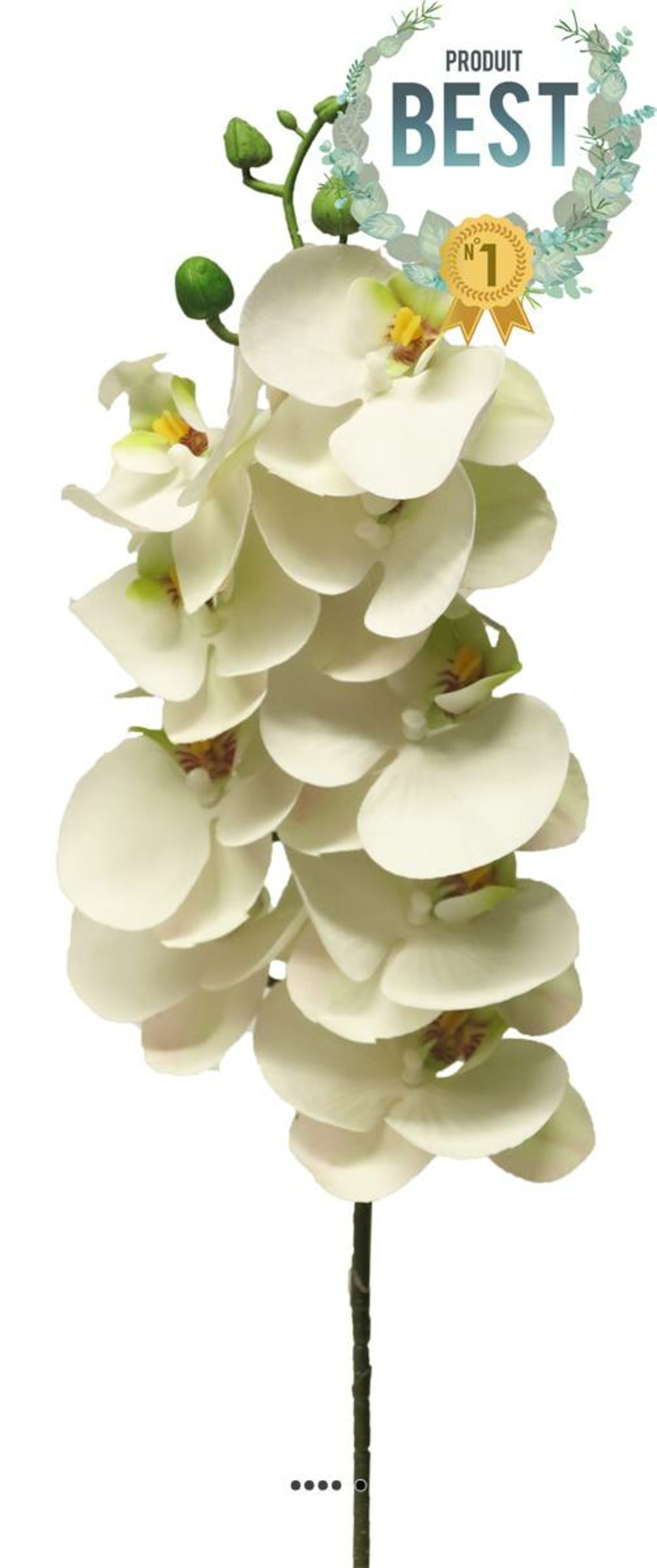 TIGE DORCHIDEE PHALAENOP 10-(939753)