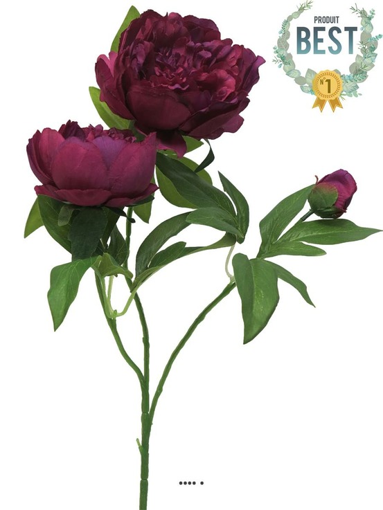 PIVOINE ARTIFICIELLE RAMI 1-(939837)