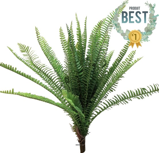 FOUGERE DE BOSTON ARTIFIC 7-(939840)