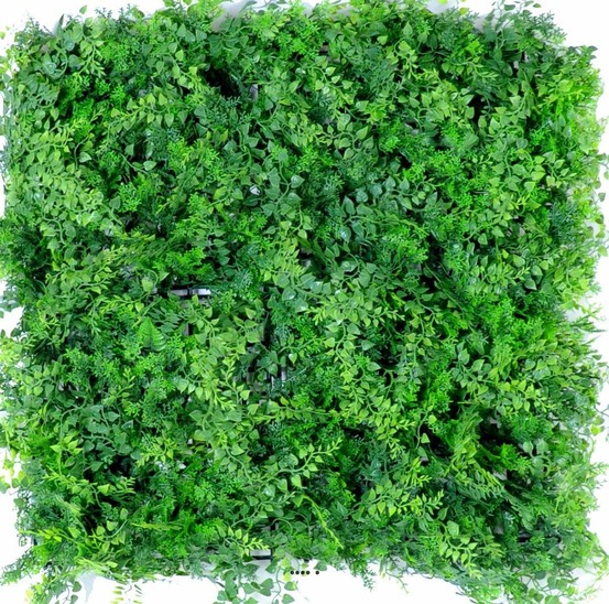 PLAQUE DE FOUGERE ET FEUI 1-(939857)