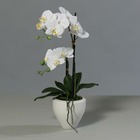Orchidée factice 2 hampes pot ceramique h57cm touché réel blanc neige - couleur: