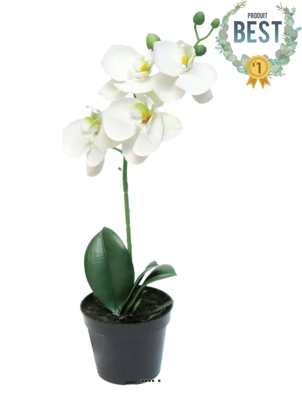 ORCHIDEE PHALAENOPSIS ART 3-(939524)