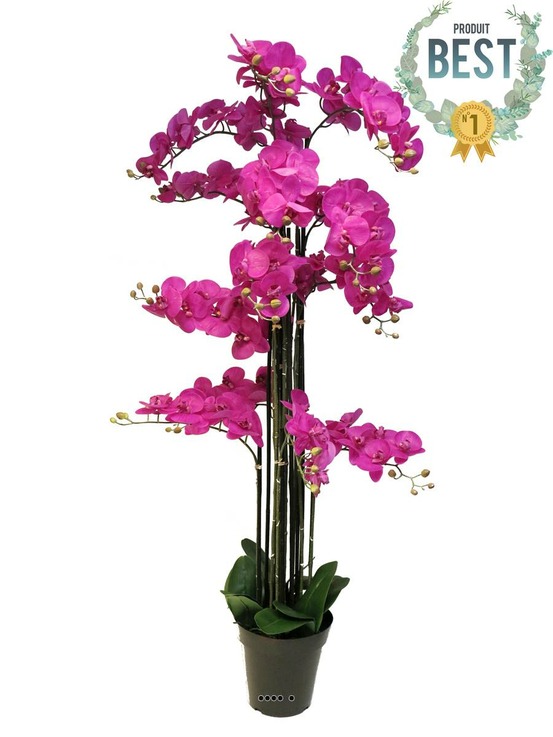 ORCHIDEE PHALAENOPSIS ART 10-(939531)