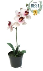 Orchidée phalaenopsis factice en pot top qualité h35cm rose-crème-best - dimhaut
