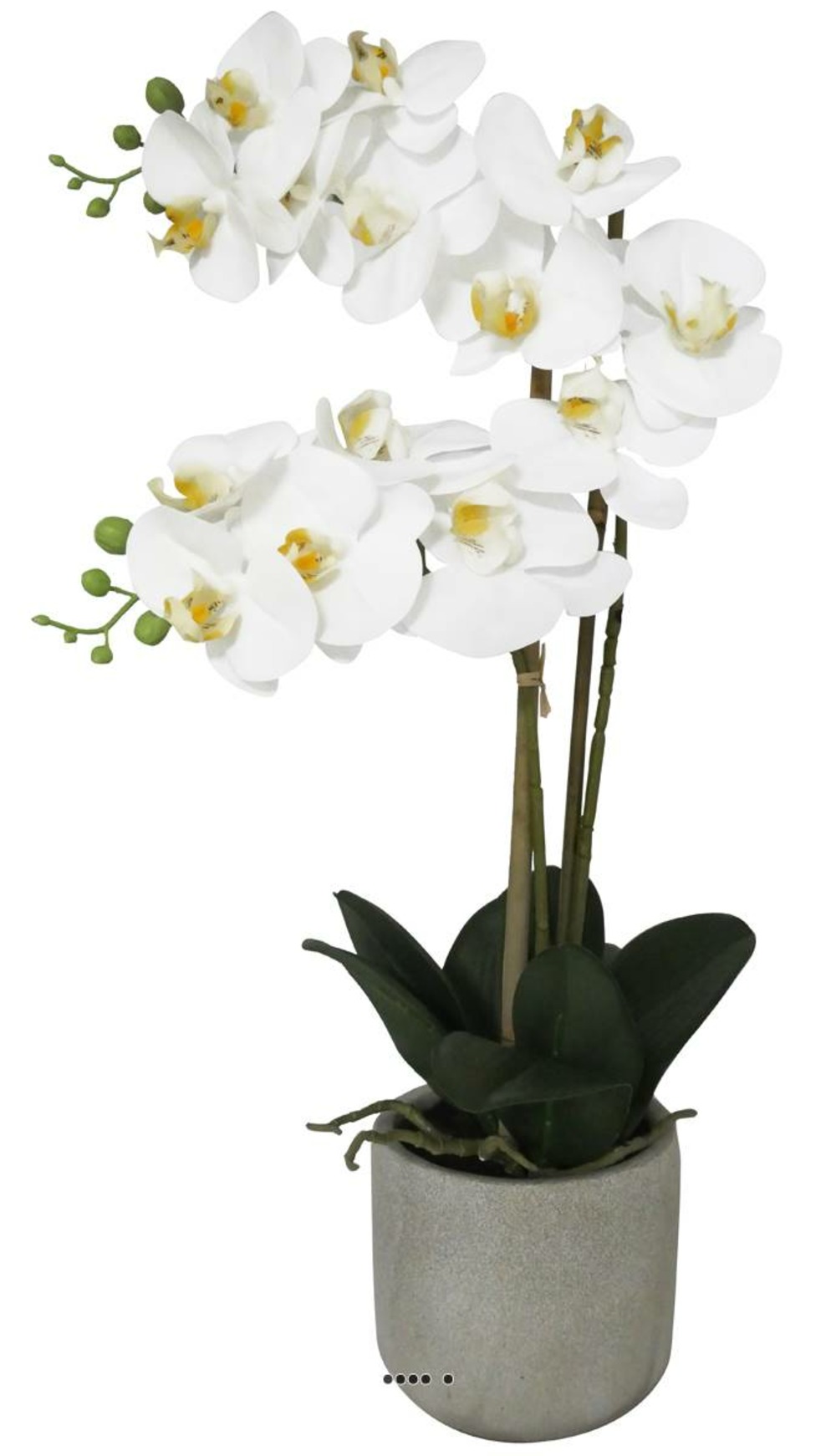 Orchidée phalaenopsis artificielle en pot | Truffaut