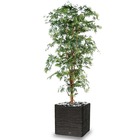 Aralia arbre artificiel h 180 cm vert en pot - dimhaut: h 180 cm - couleur: vert