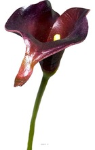 Arum calla fleur artificielle aubergine h 42 cm superbe - couleur: aubergine