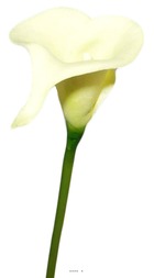 Arum calla fleur artificielle champagne h 42 cm superbe - couleur: crème