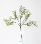 Branche asparagus plumosus artificielle verte h 92 cm