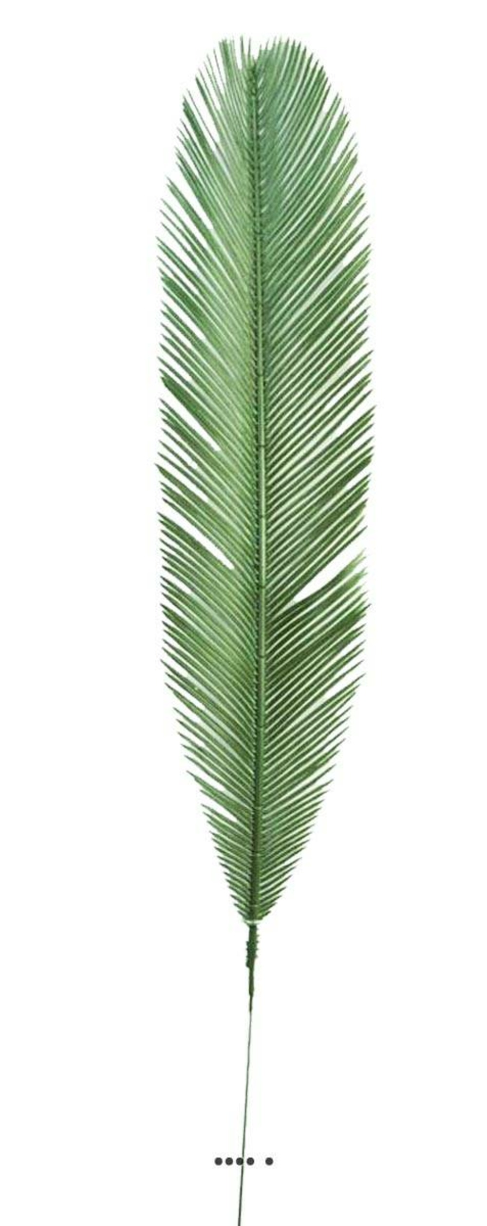 Feuille de palmier Cycas H 113 cm Plas | Truffaut