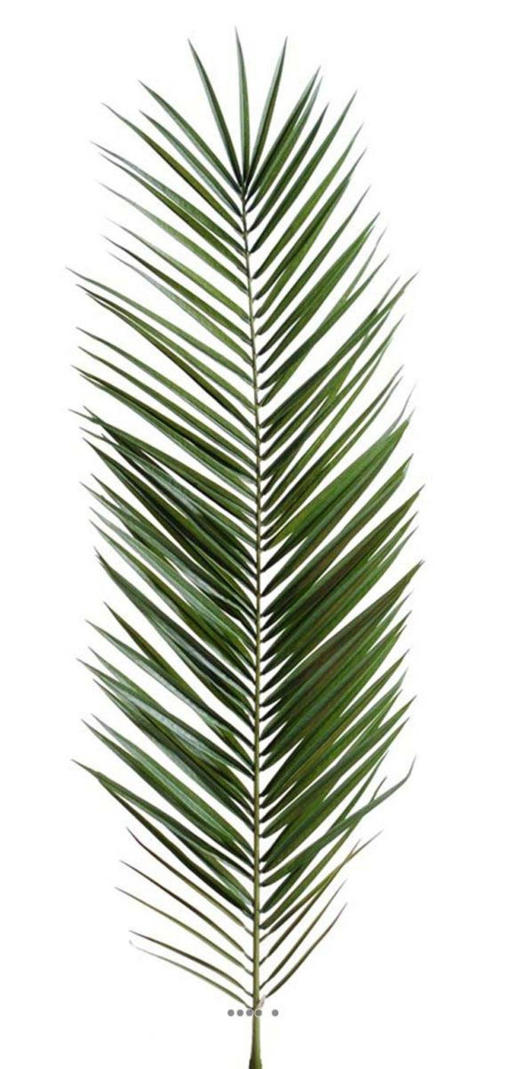 Feuille de palmier Phoenix artificielle