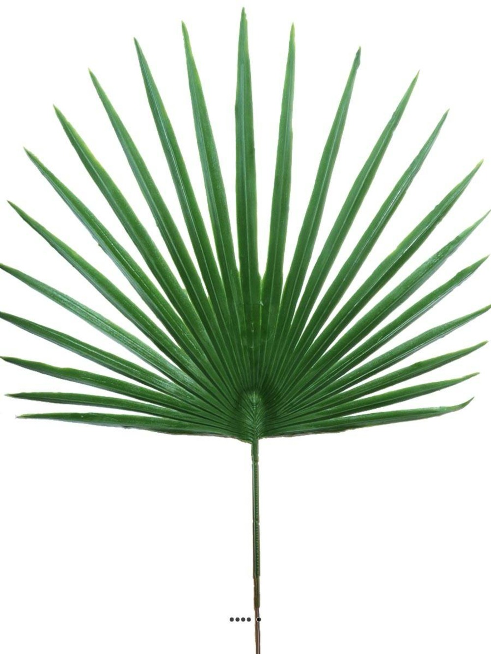 Feuille palmier Chamaerops X6 artificielle | Truffaut