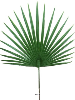 Feuille palmier Chamaerops X6 artificielle