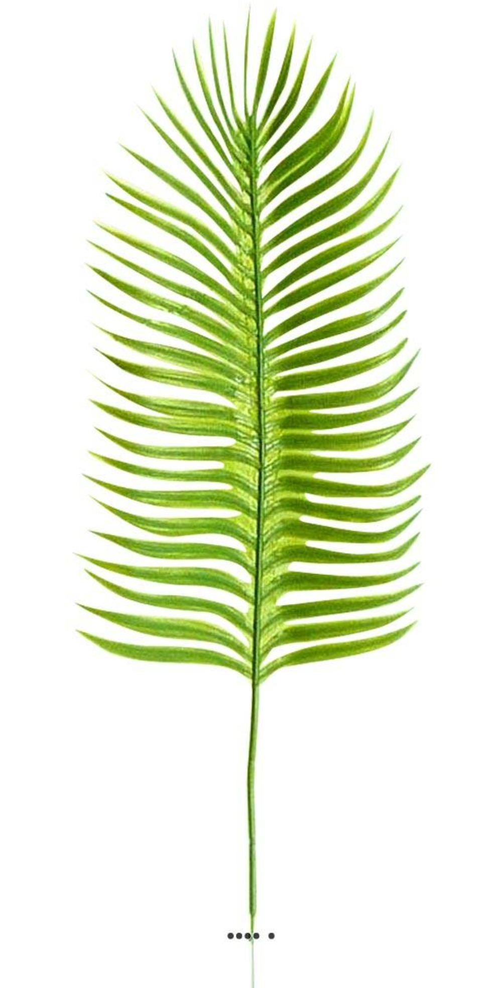 Feuille X6 palmier Phoenix artificielle H 43