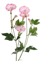 Fleur artificielle belle de jour ou ipome h 70 cm rose soutenu - couleur: rose s