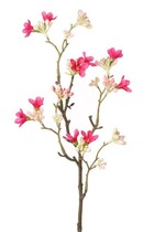 Branche de jasmin factice 10 fleurs h50cm superbe branche rose fushia - couleur: