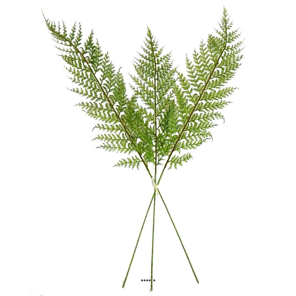 Lot de 3 feuilles de fougÃšre des forÃªt