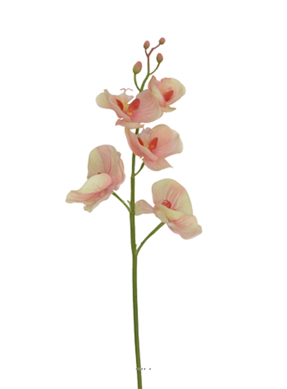 Orchidee phalaenopsis ines pêche 77cm haut de gamme latex - couleur: pêche