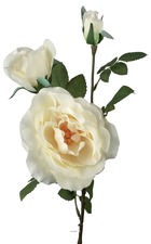 Rose artificielle ramifiee h 70cm d 6 10 cm champagne marble - couleur: crème