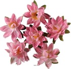 Têtes de lotus x6 rose chaud en sachet d 7 50 cm - couleur: rose soutenu