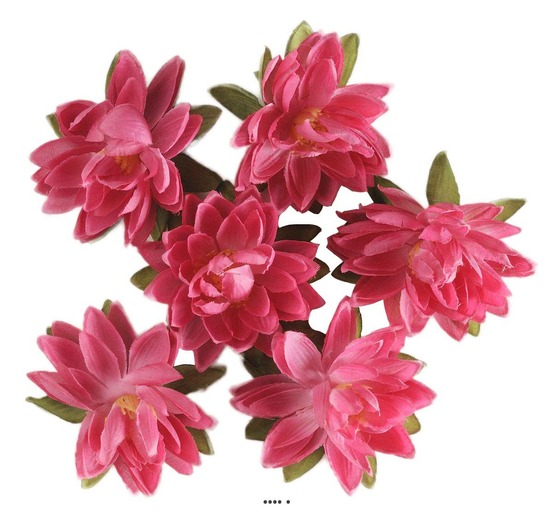 Tetes de Lotus X6 Rose Fuschia en sachet
