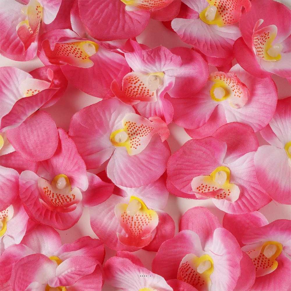 Tetes d'orchidees X 20 Rose Tendre en