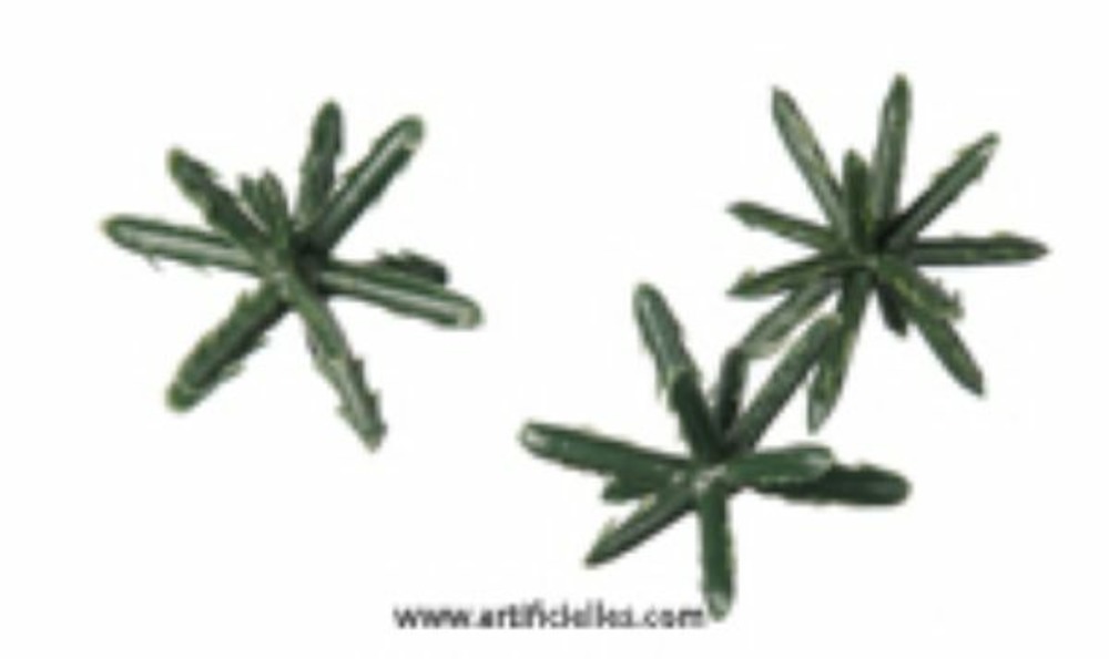 Supports X6 pour 6 boules de rose PM 250