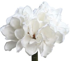 Bouquet de magnolias artificiels Creme