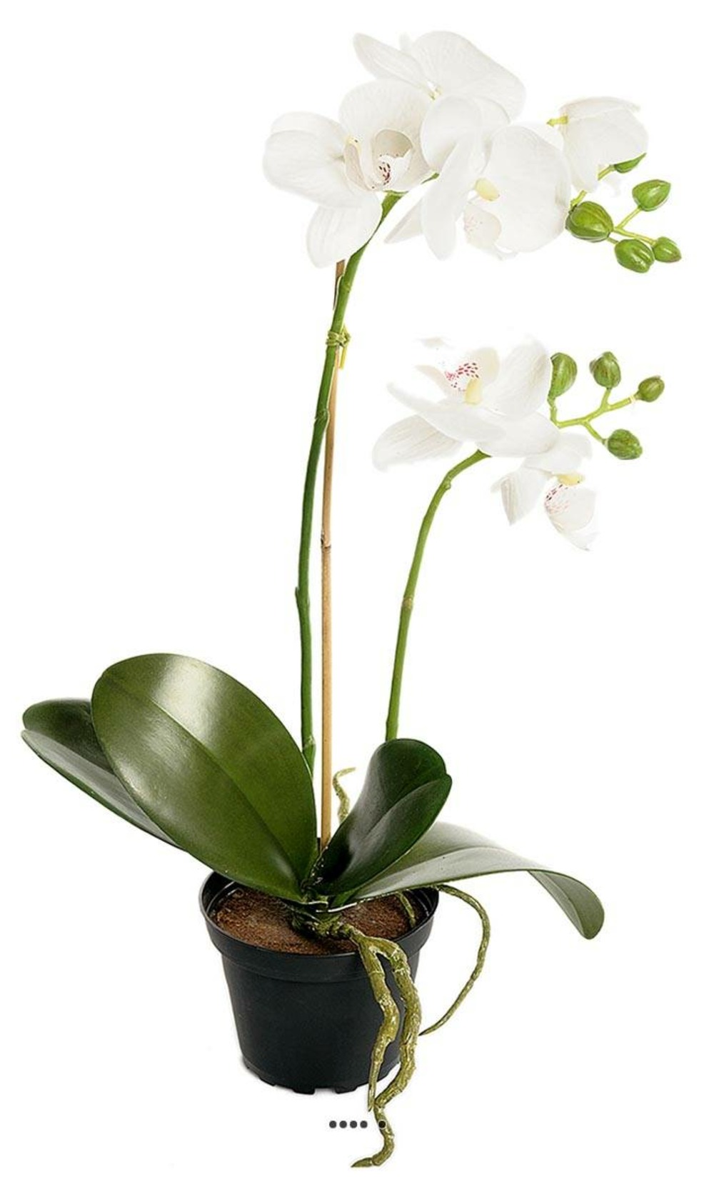 Orchidee artificielle 2 hampes en pot H 40