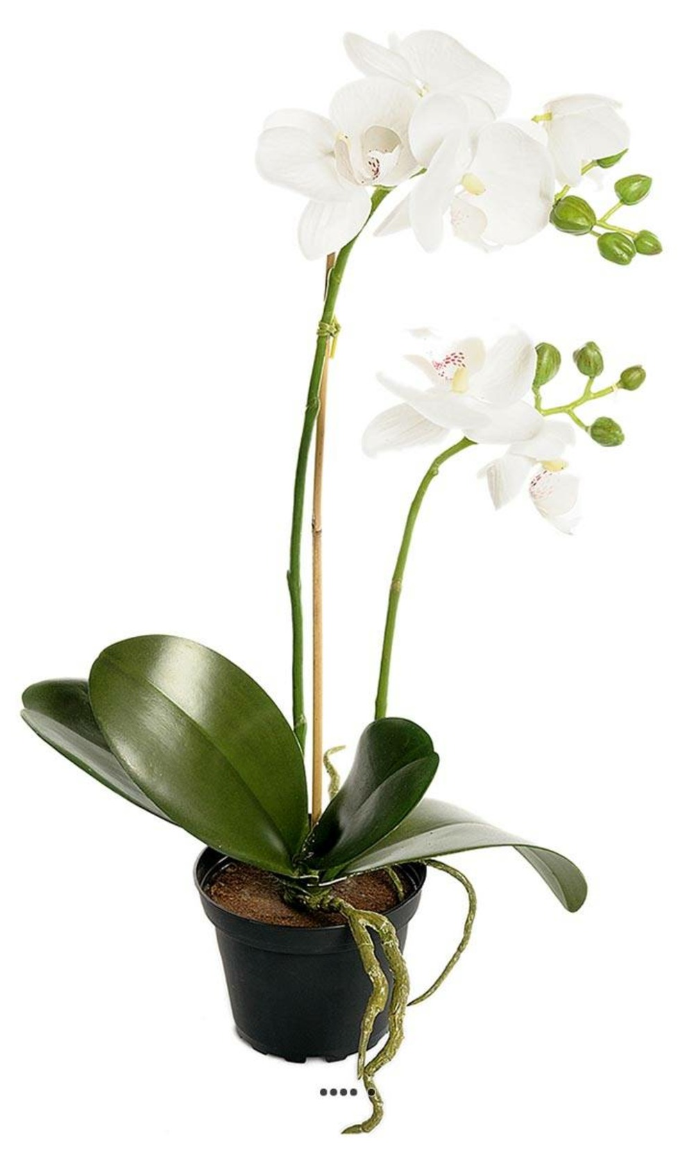 Orchidee artificielle 2 hampes en pot h 40 cm touché réel blanc neige - couleur: