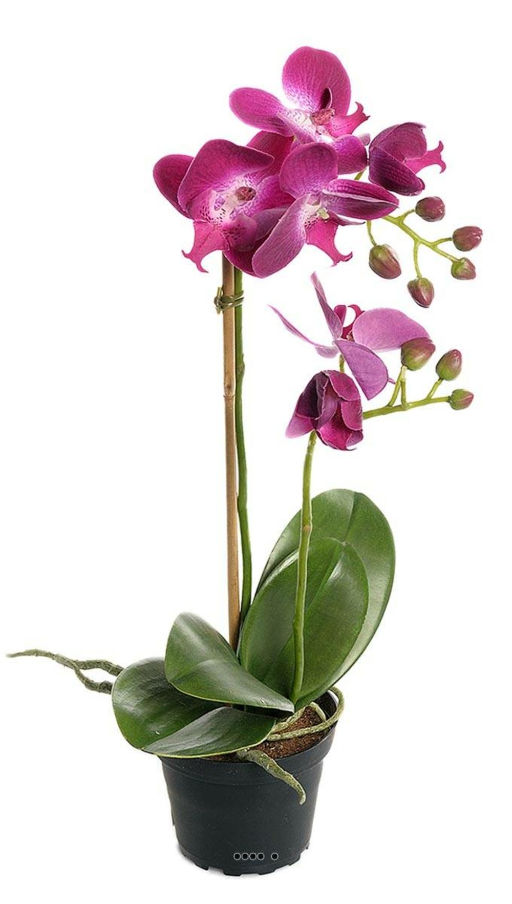 Orchidee artificielle 2 hampes en pot h 40 cm touché réel erica - couleur: erica