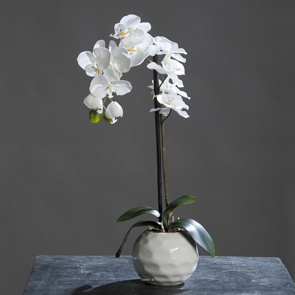 Orchidee artificielle Creme 1 hampe en pot | Truffaut