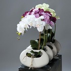 Orchidee artificielle lavande 1 hampe pot ceramique blanc oval h 43 cm - couleur