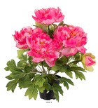 Pivoine artificielle en pot h 35 cm 4 fleurs et 2 boutons rose - couleur: rose
