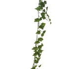 Guirlande de vigne artificielle 180cm de long feuilles vertes