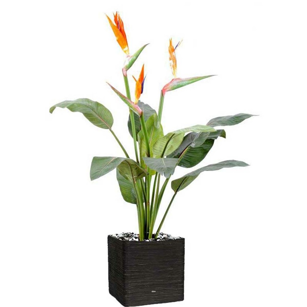STRELITZIA ARTIFICIEL EN 1-(957684)