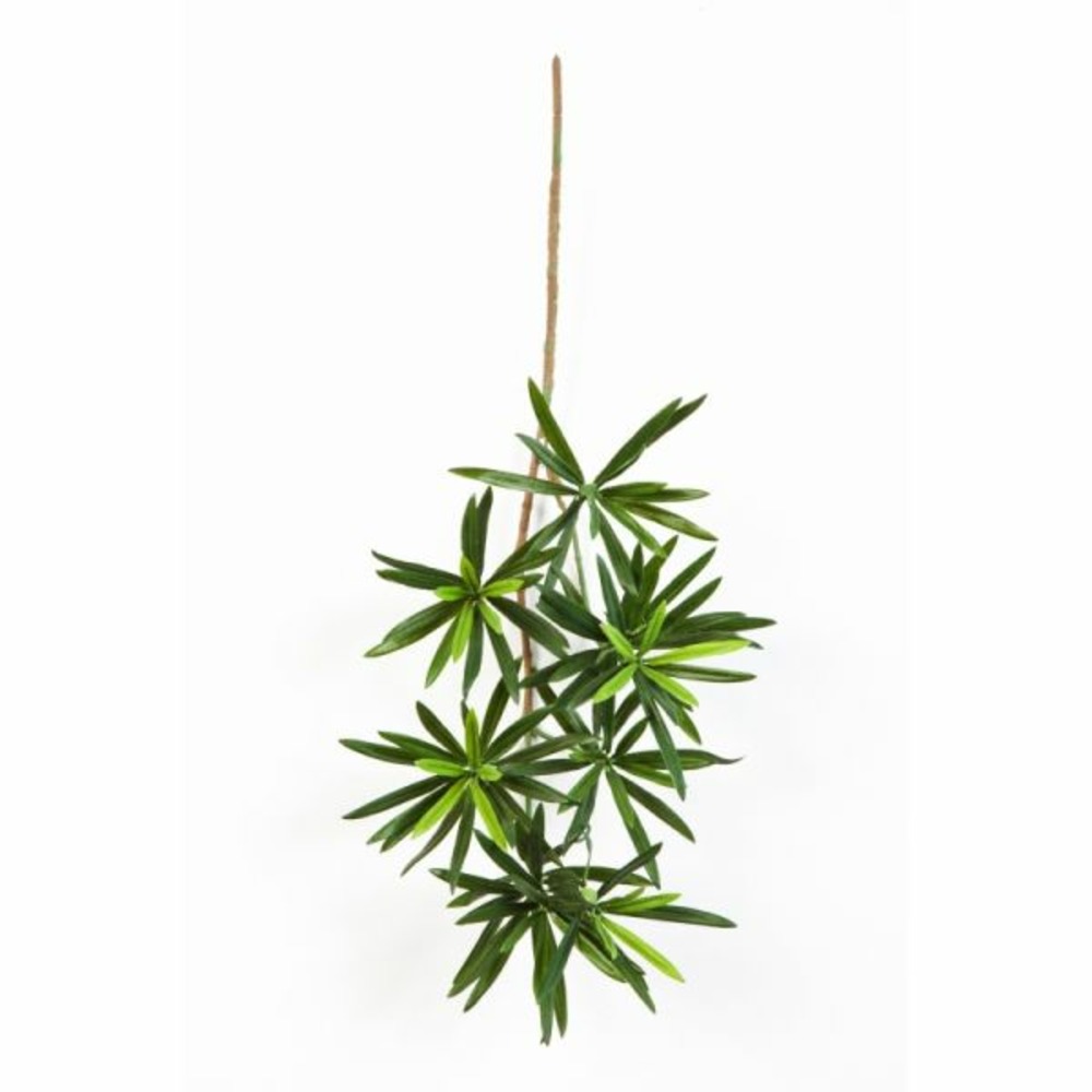 PODOCARPUS ARTIFICIEL EN 1-(957699)