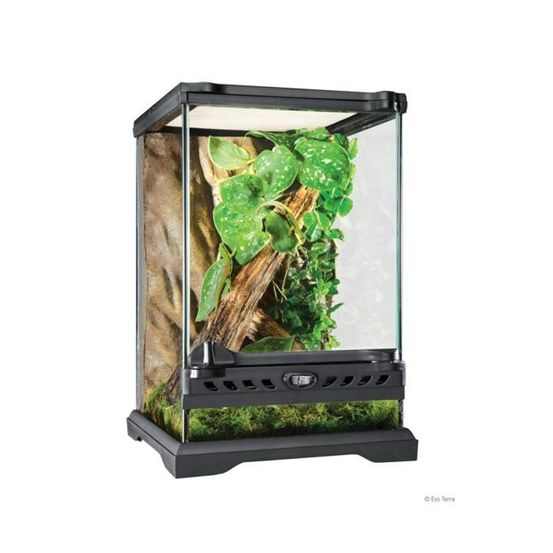 Exo terra nano/grand terrarium, 16l, 22x22x33cm