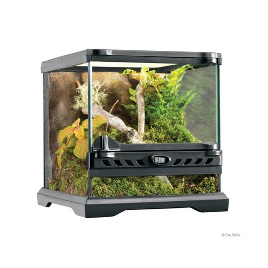 Exo terra terrarium nano/large, 10,5 l, 22 x 22 x 22 cm